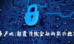 虚拟币卢比：颠覆传统金融的新兴数字货币